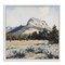 Stupell Industries Desert Mountains and Forest Landscape Framed Giclee, design by Petal Prints Design
